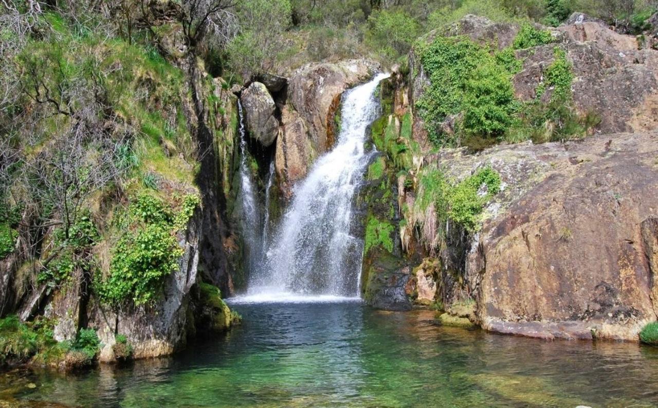 Arouca Passadicos Alojamento & Jacuzzi Zewnętrze zdjęcie