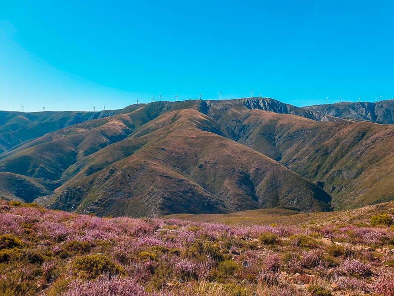Arouca Passadicos Alojamento & Jacuzzi Zewnętrze zdjęcie